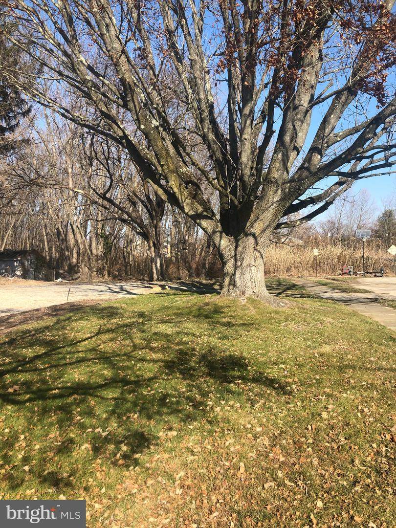10 Pine Avenue - Photo 1