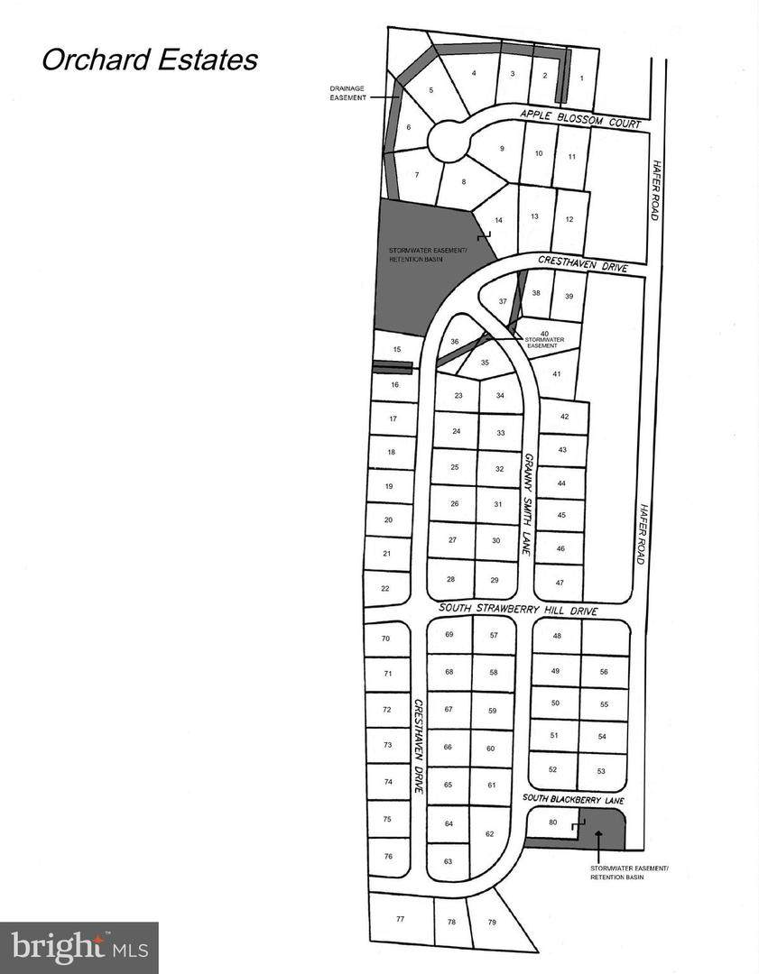 166 Granny Smith Lane - Photo 1