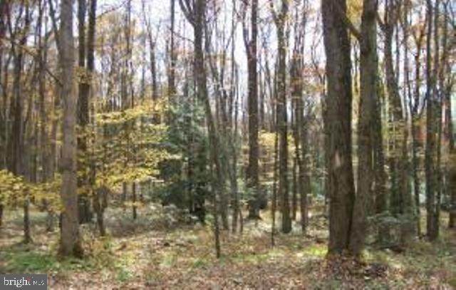 29,31 Bear Creek Drive - Photo 1