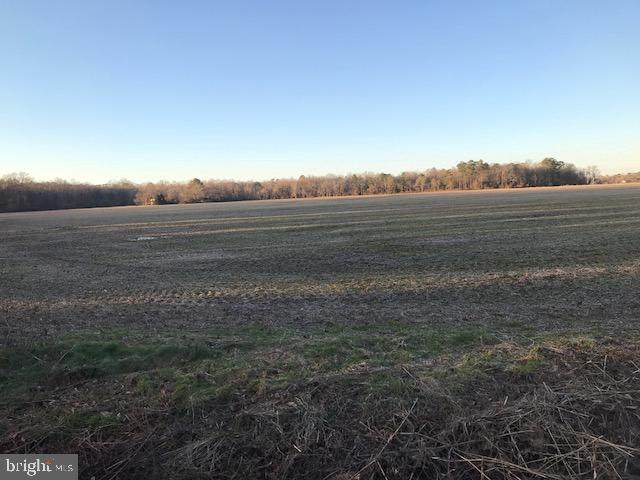 22314 Hog Creek Road - Photo 1