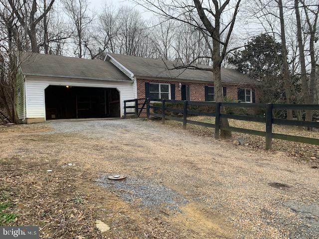35600 Sassafras Drive - Photo 1