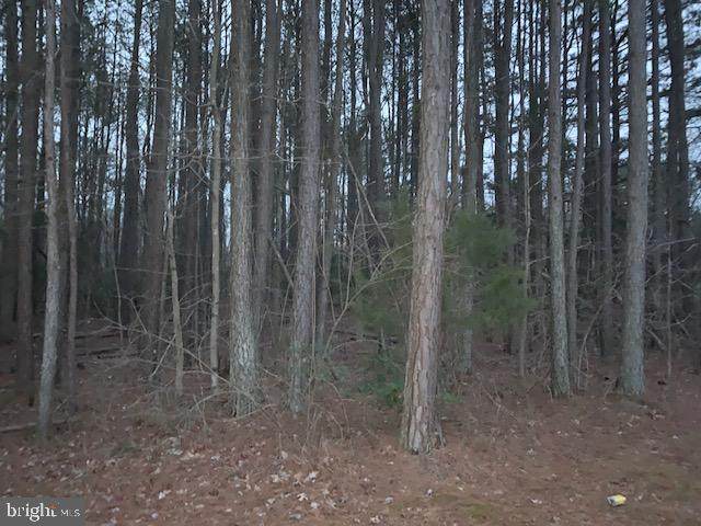 Lot C Bethany Church Rd - Photo 1 Lot C Bethany Church Rd - Photo 1