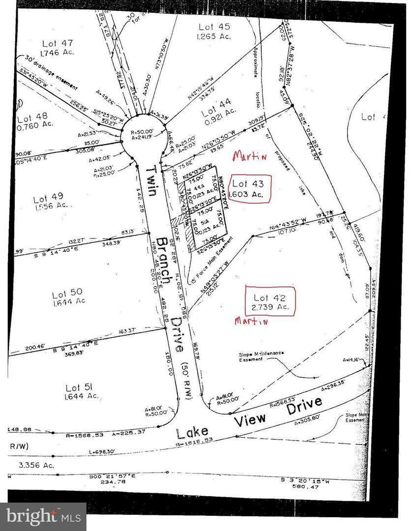 0 Twin Branch Drive - Photo 1 0 Twin Branch Drive - Photo 1