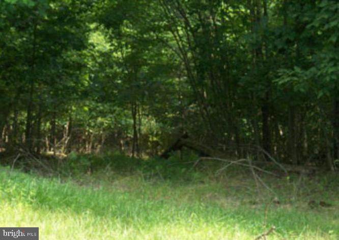 Posey Hollow - Photo 1