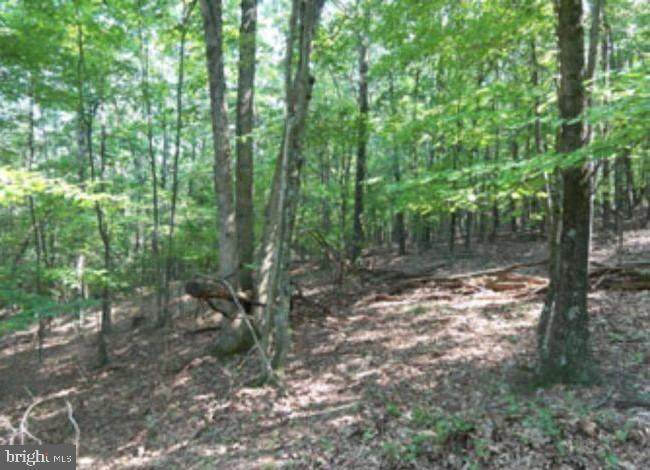 Posey Hollow - Photo 1