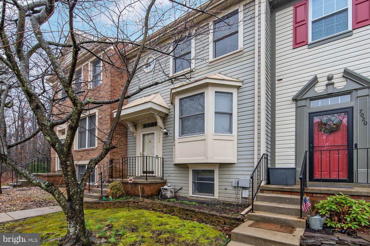 7022 Chestnut Brook Road - Photo 1