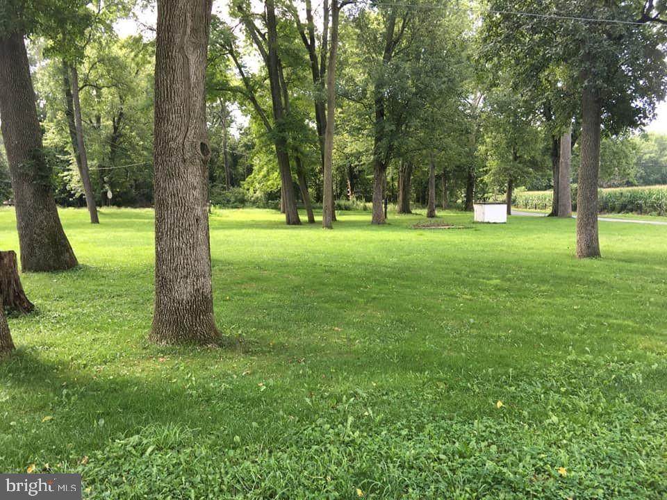 650 Pine Road - Photo 1