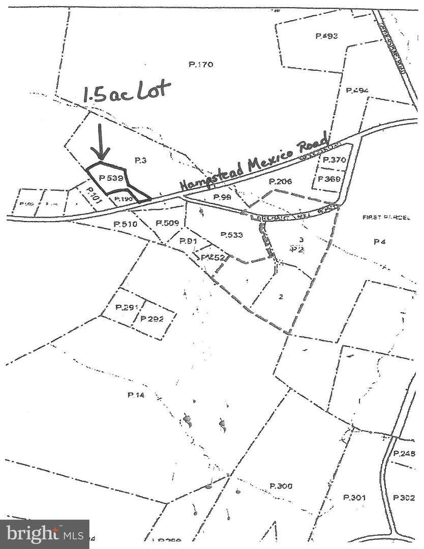 1.5Ac Hampstead Mexico - Photo 1 1.5Ac Hampstead Mexico - Photo 1
