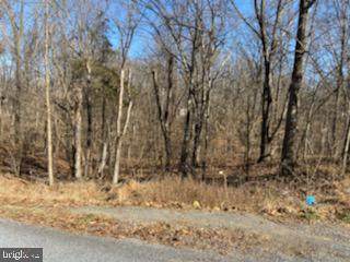 Juniper - Lot 12 Drive - Photo 1