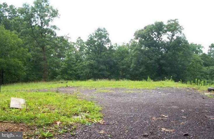 Oak Tree Ridge Road - Photo 1