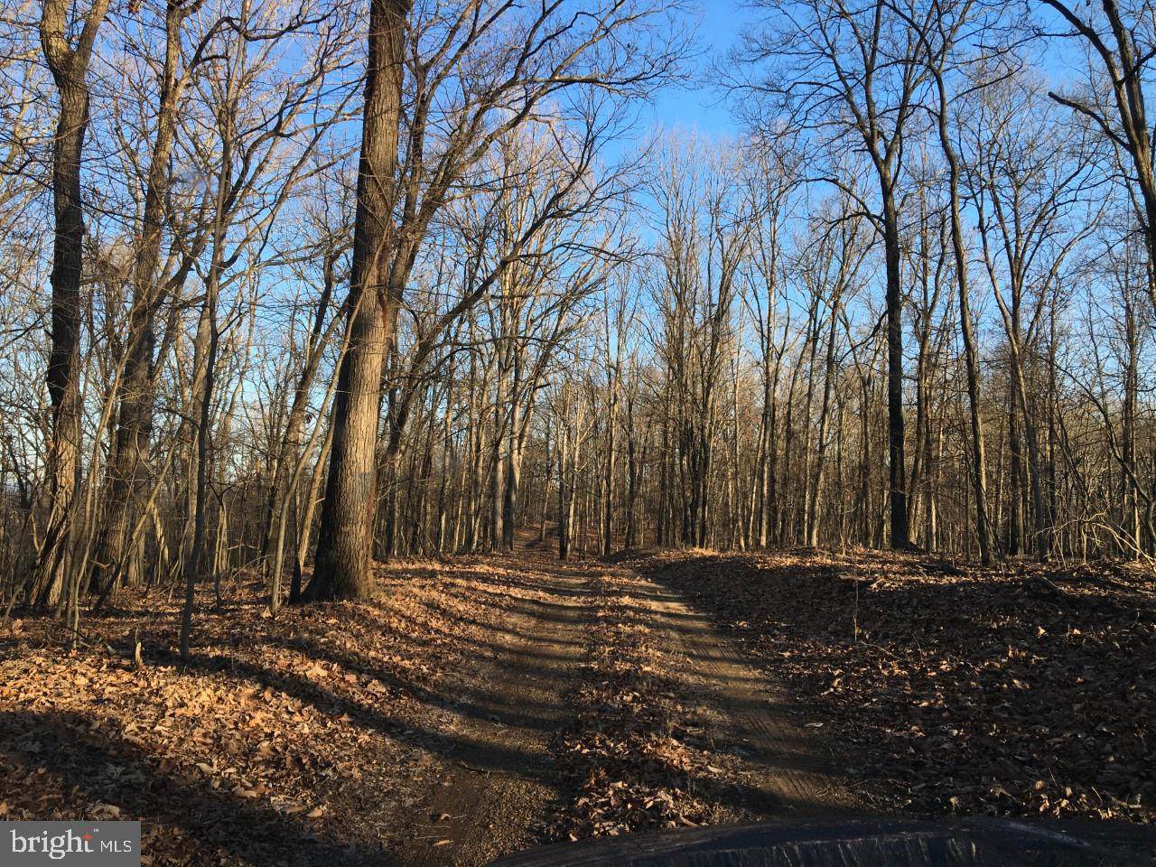 Cherry Bottom Lane - Photo 1