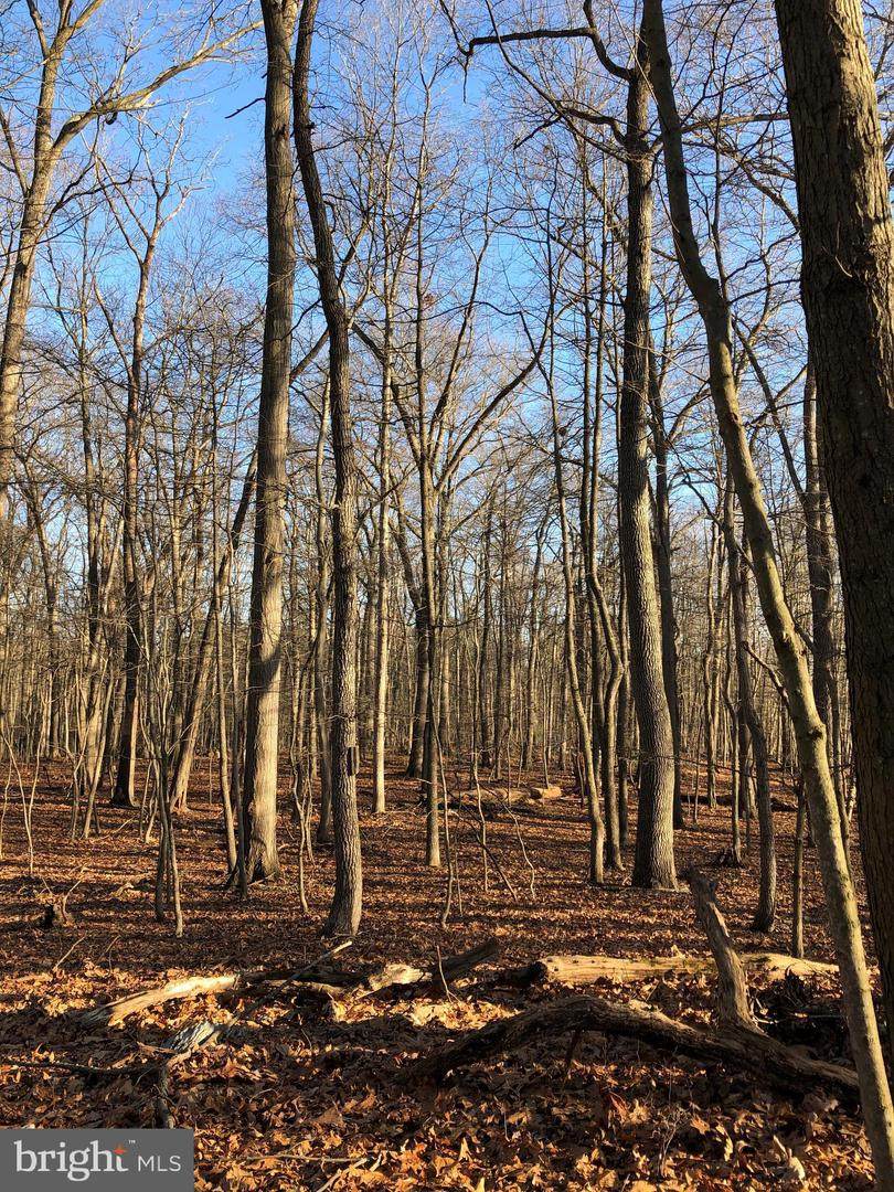 Lot No. 6B Prettyboy Trails - Photo 1