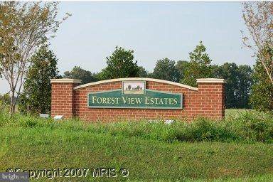 28364 Blue Heron Lane - Photo 1