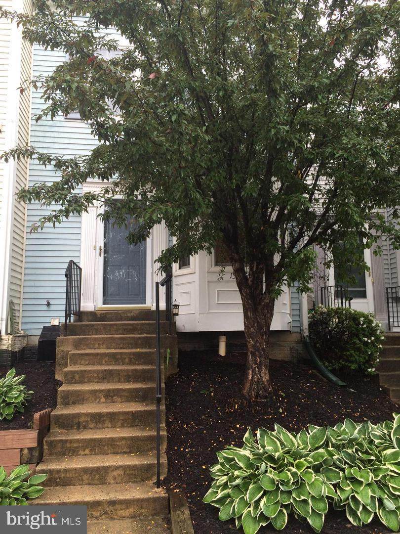 13986 Big Yankee Lane - Photo 1