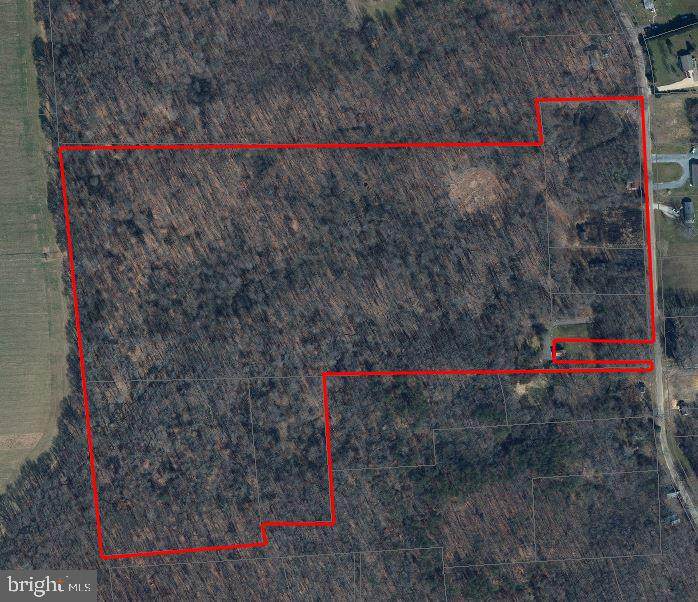 Chesterville Forest Road - Photo 1 Chesterville Forest Road - Photo 1