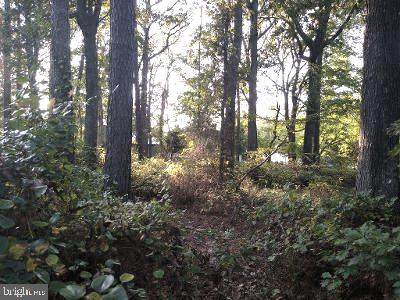 John's Way - Photo 1