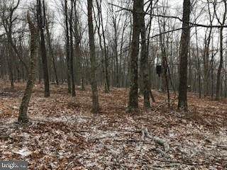 Lot 49 Sec A Spring Mtn Properties - Photo 1 Lot 49 Sec A Spring Mtn Properties - Photo 1