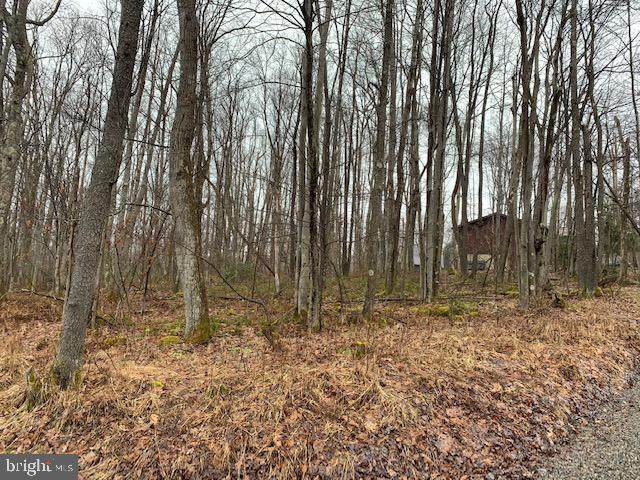 Lot 115 Bavarian Section - Photo 1