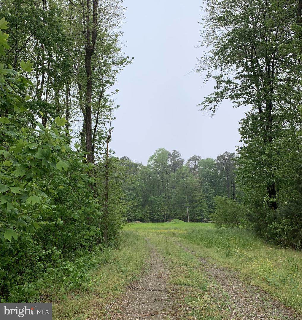 Tull Road - Photo 1
