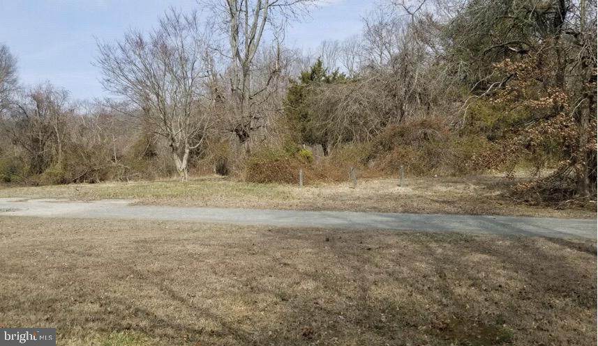 208 Raleigh Mitchell Lane - Photo 1