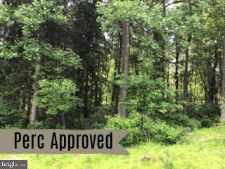 2350 Iron Springs Road - Photo 1