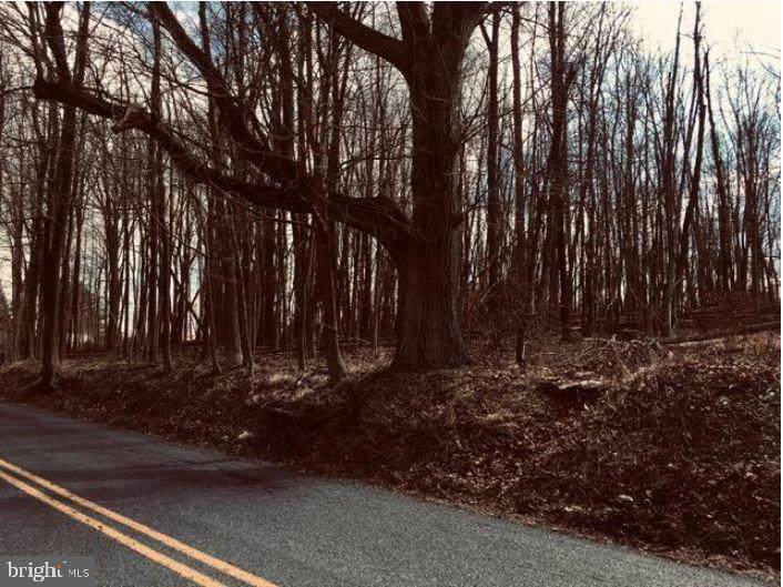 0 State Road - Photo 1
