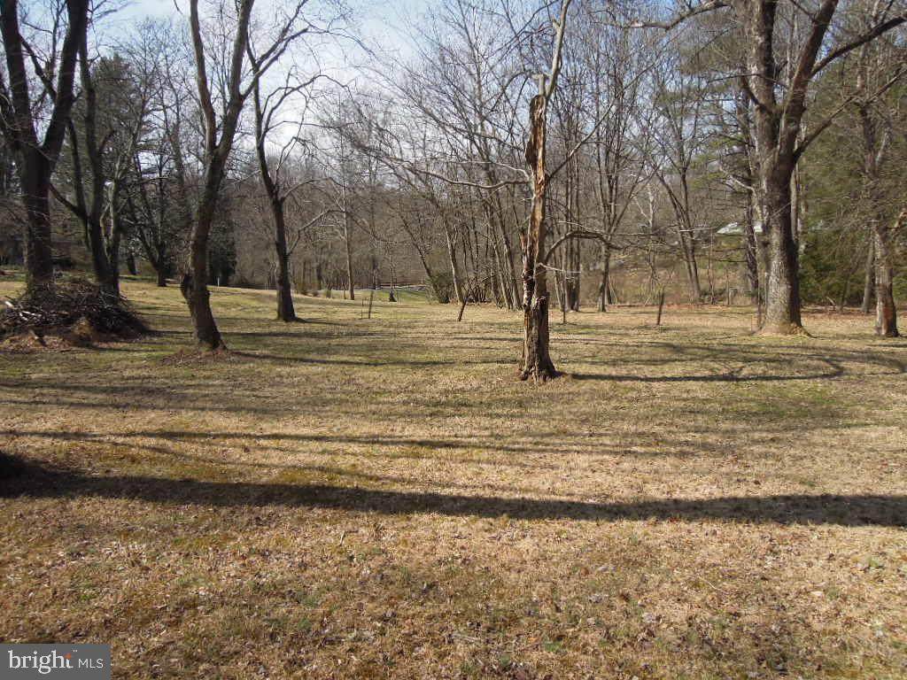 10080 Reed Lane - Photo 1