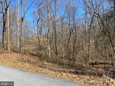 Juniper Lot 11 Drive - Photo 1