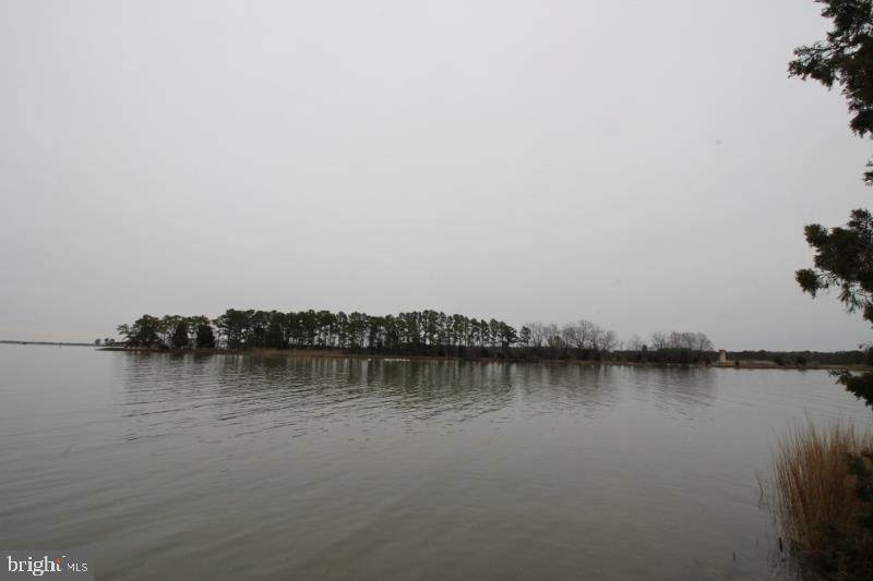 6109 Twin Point Cove Road - Photo 1