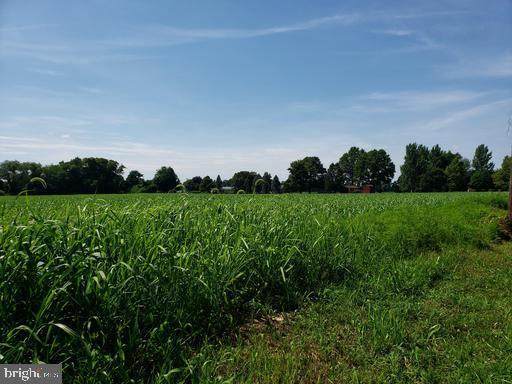 Lot 31 Old Toll Bridge Road - Photo 1