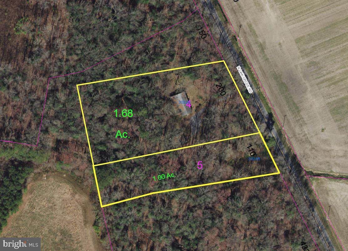 30330 Oak Grove Road - Photo 1