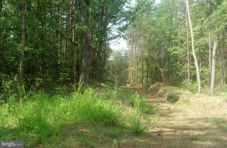Lot 56-46 Sandy Ridge Road - Photo 1