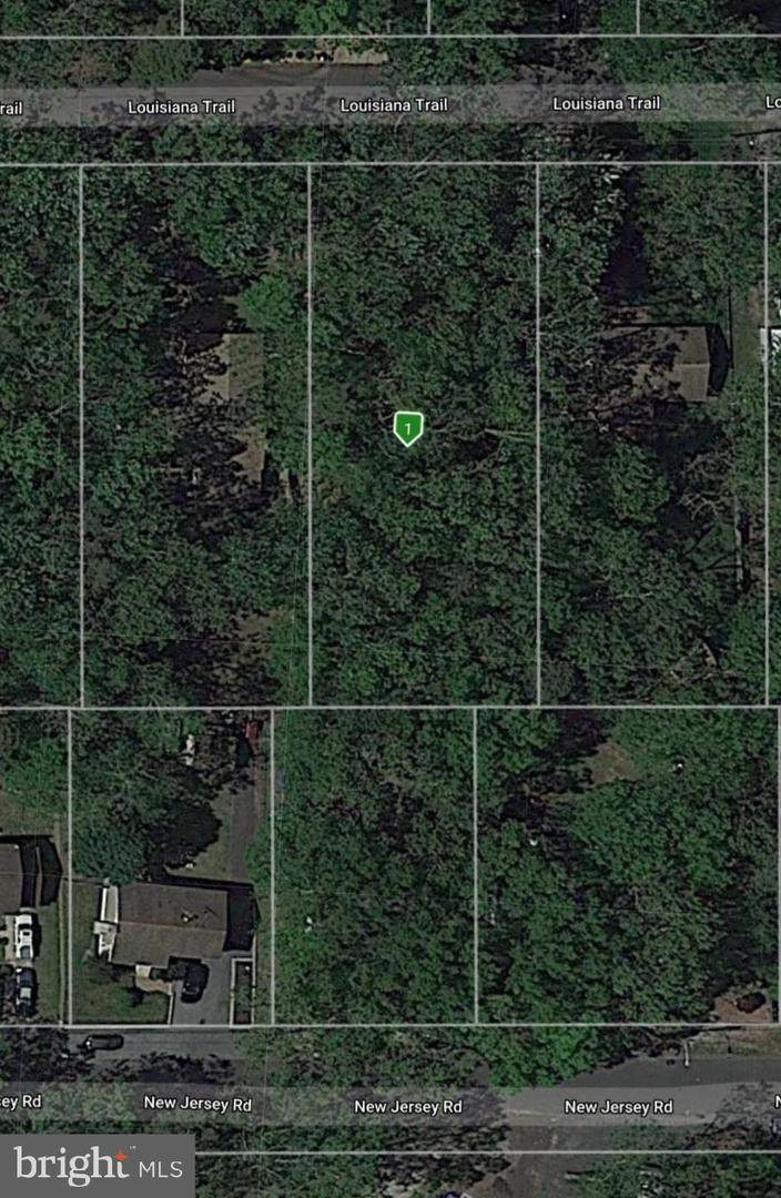 204 Louisiana Trail - Photo 1 204 Louisiana Trail - Photo 1