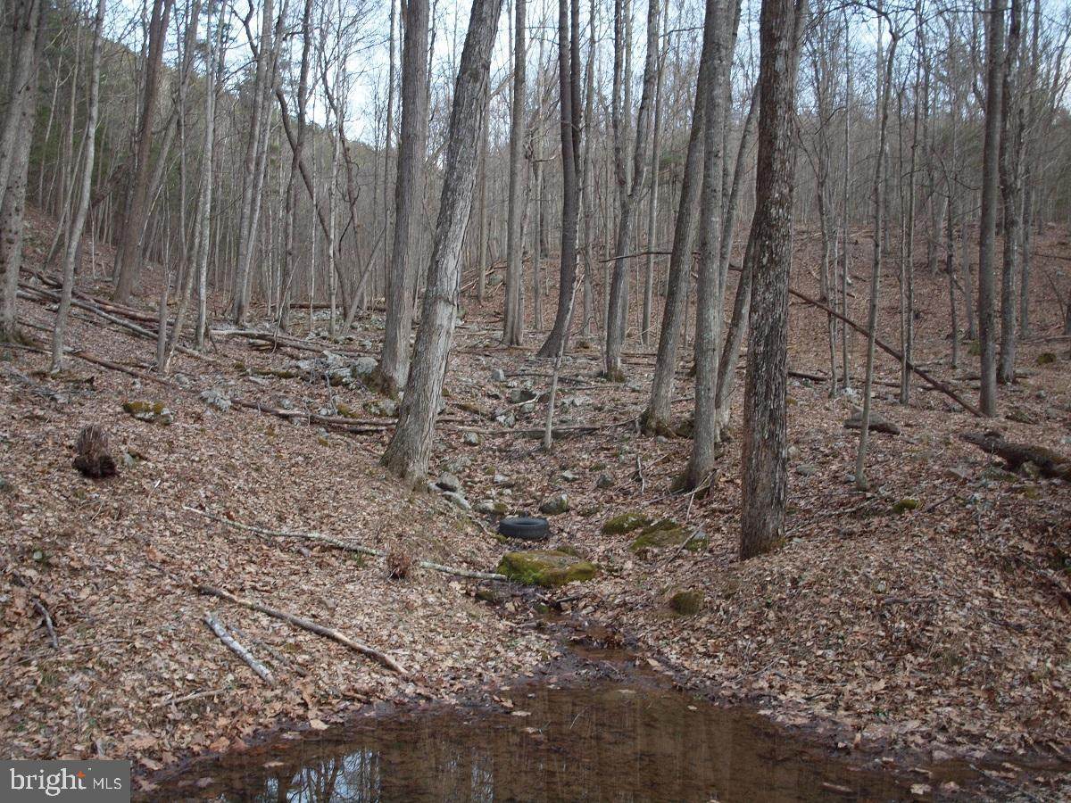 RT 220/7 Long Mountain - Photo 1