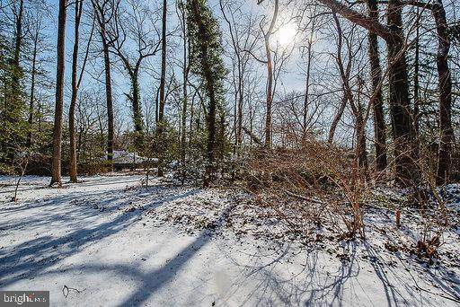 1727 Westmoreland Trail - Photo 1