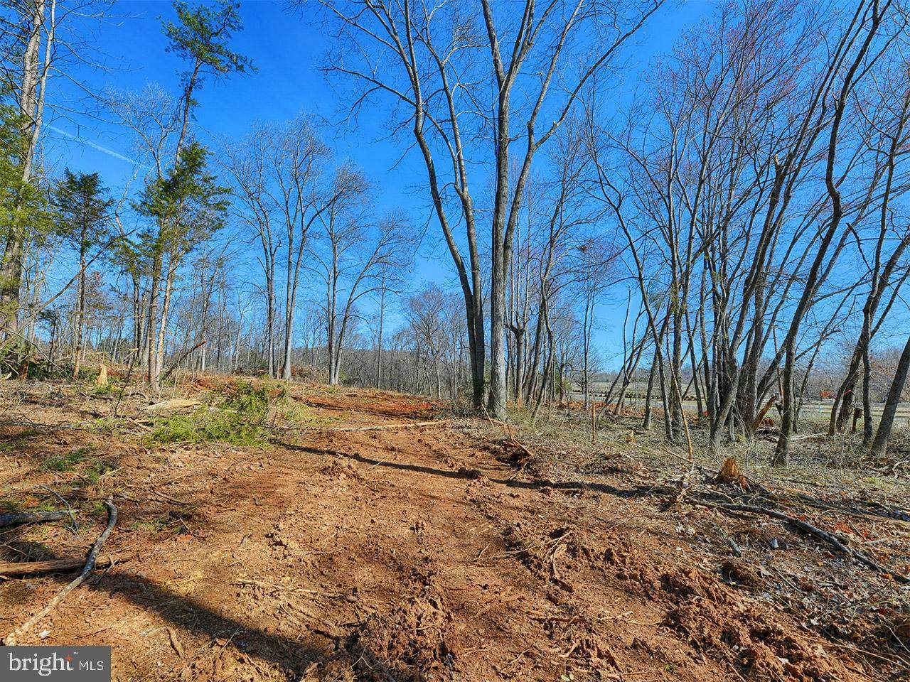 TBD-1 Magnolia Road - Photo 1
