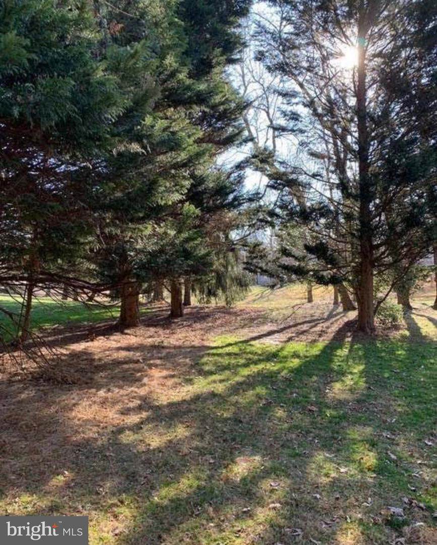 Wilden Lane - Photo 1