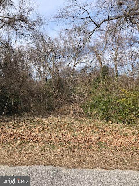 104 Chestnut Street - Photo 1