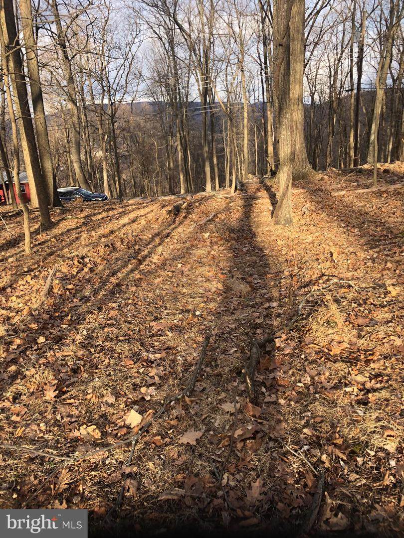 206 Split Rail Road - Photo 1