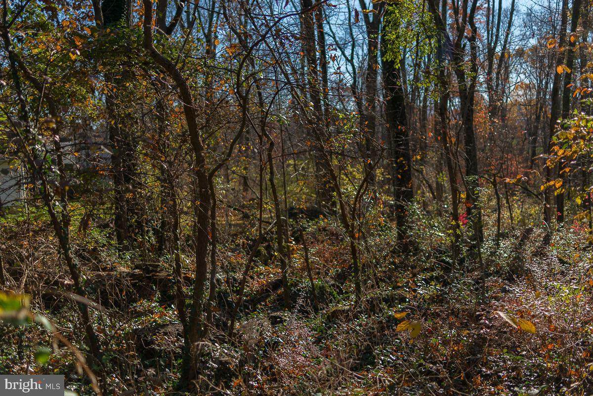 365 Raubsville Road - Photo 1