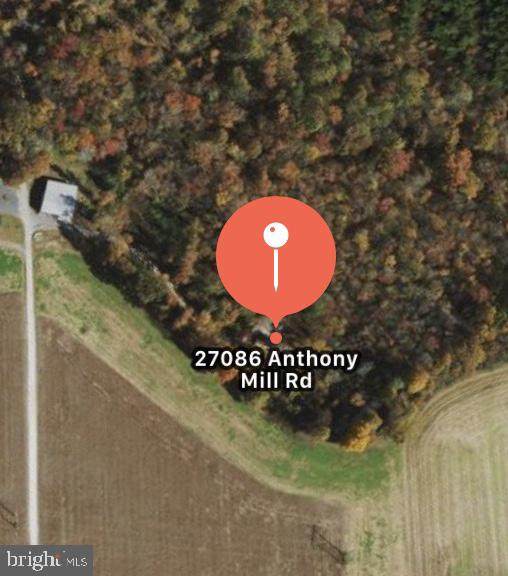 27086 Anthony Mill Road - Photo 1 27086 Anthony Mill Road - Photo 1