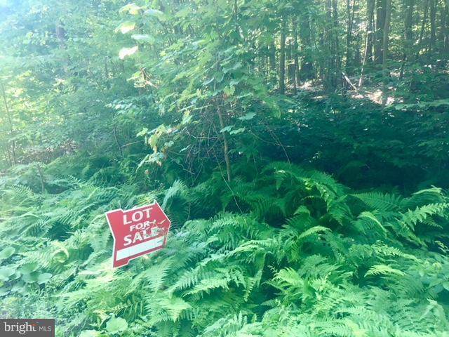 Lot 5K Wardensville Pike - Photo 1