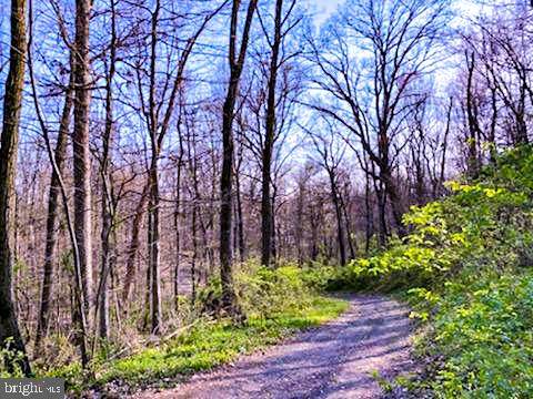 Stone Road - Photo 1