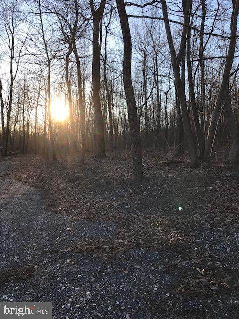 Back Woods Road - Photo 1