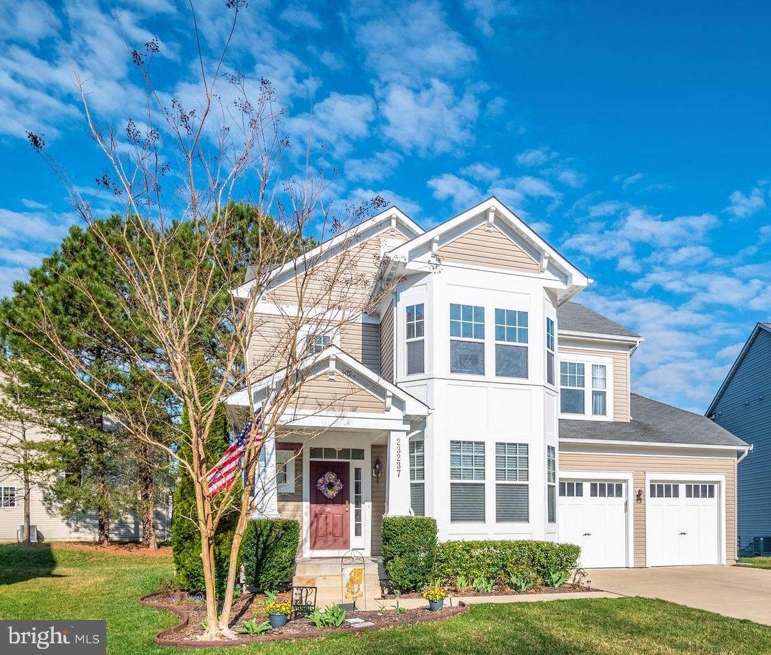 23237 Wild Daisy Way - Photo 1 23237 Wild Daisy Way - Photo 1