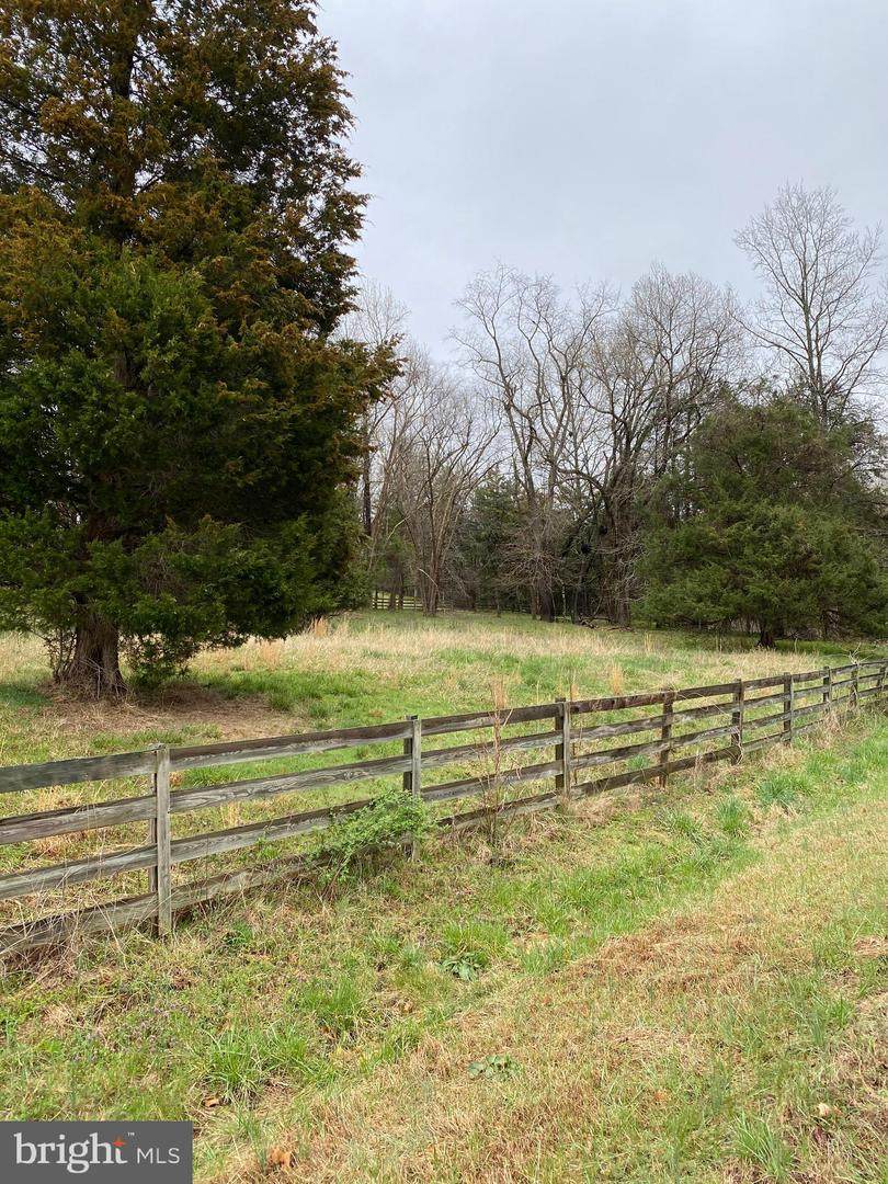 8610 Locust Grove Drive - Photo 1