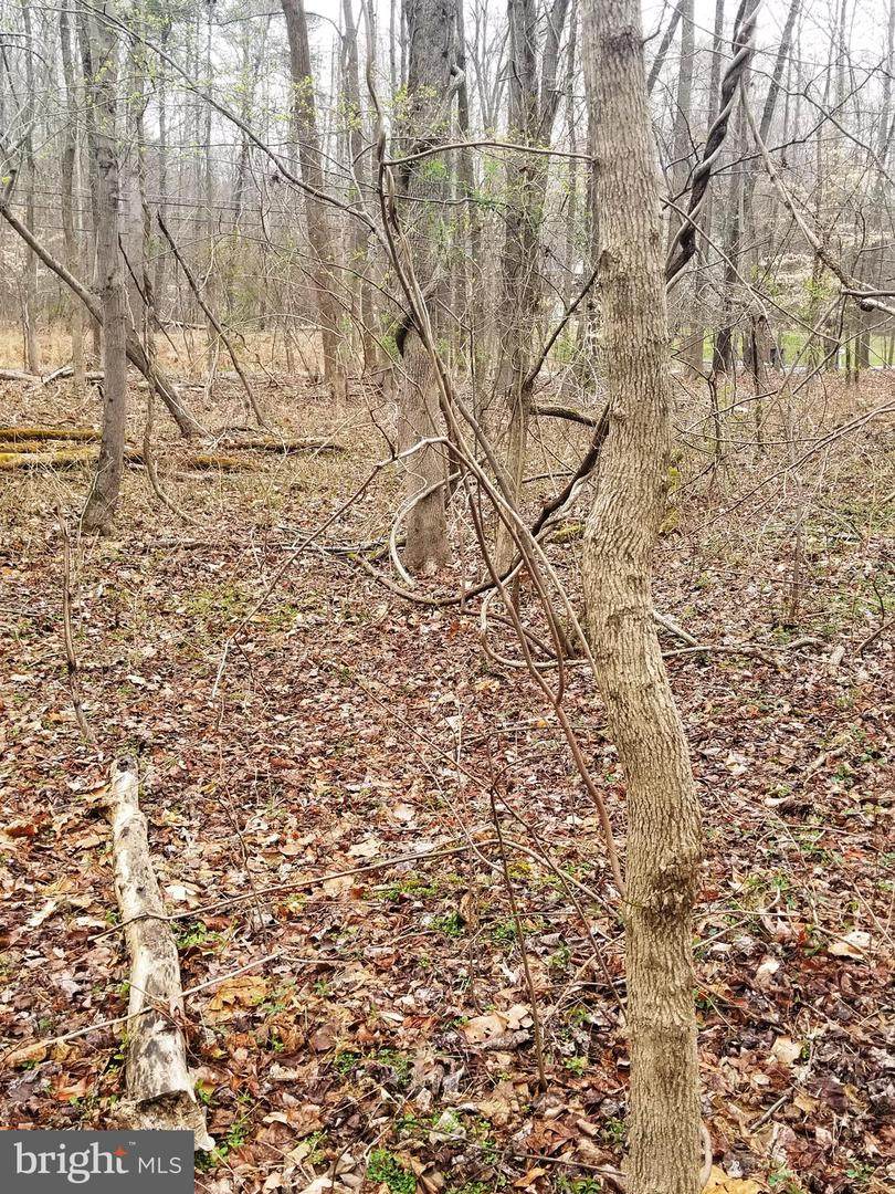 13801 Town Farm Road - Photo 1