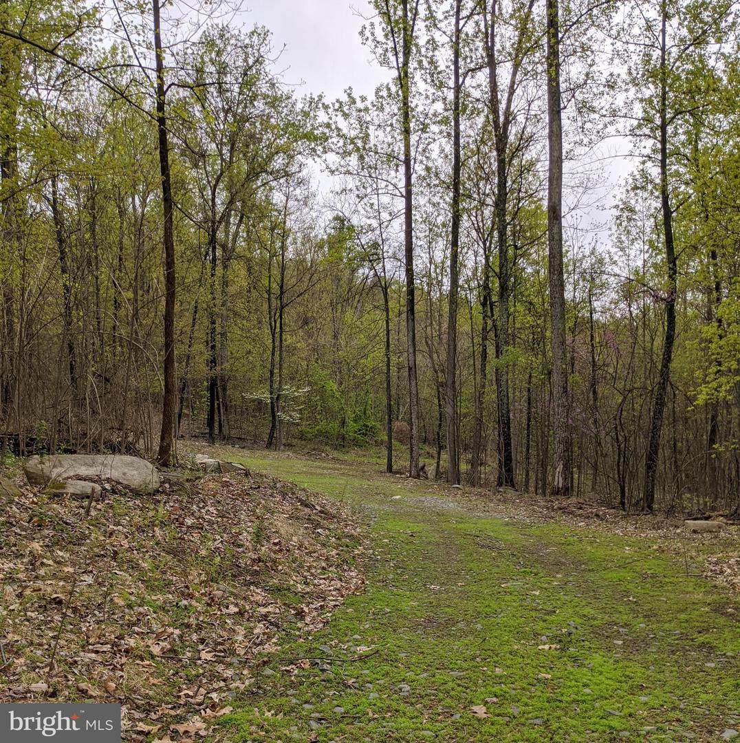 13543 Hanging Rock Lane - Photo 1