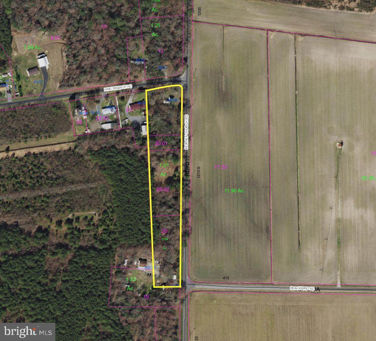 36190 Horsey Church Road - Photo 1