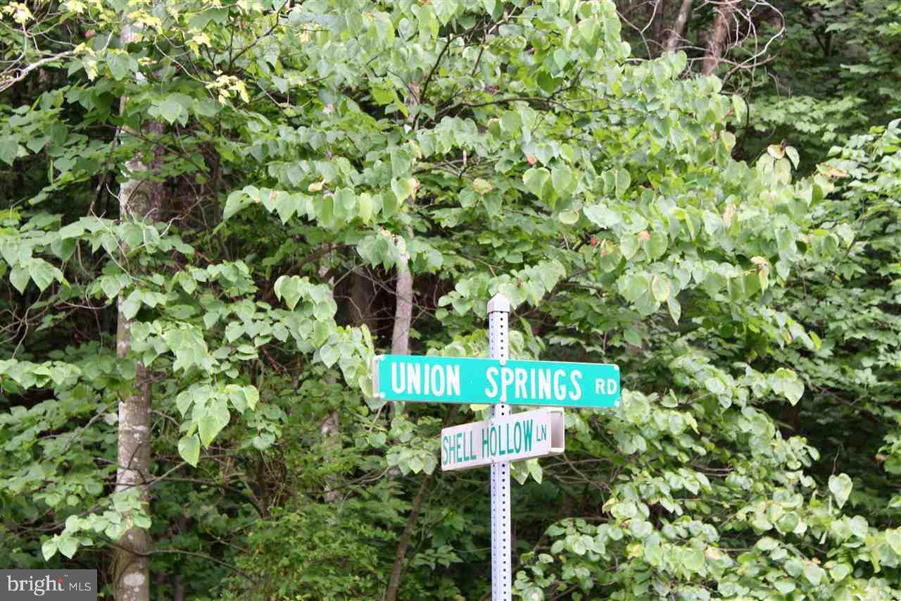 0 SHELL HOLLOW LN - Photo 1